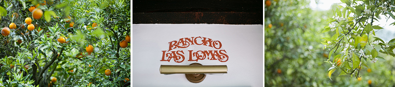 Wedding Photos at Rancho Las Lomas details