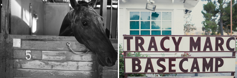 Calamigos Horse and wedding Signage