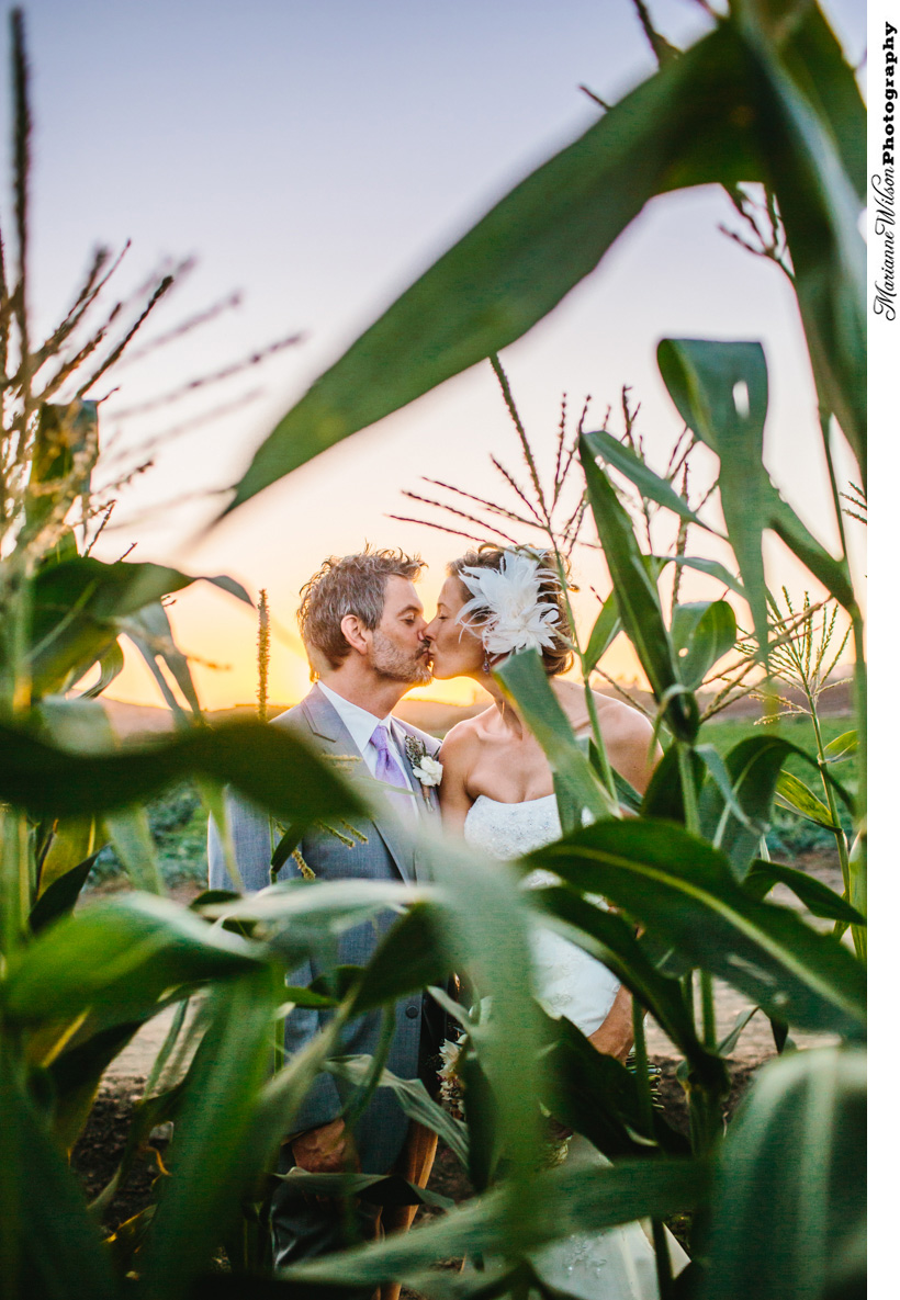 Lynn + Charles: Maravilla Gardens Wedding