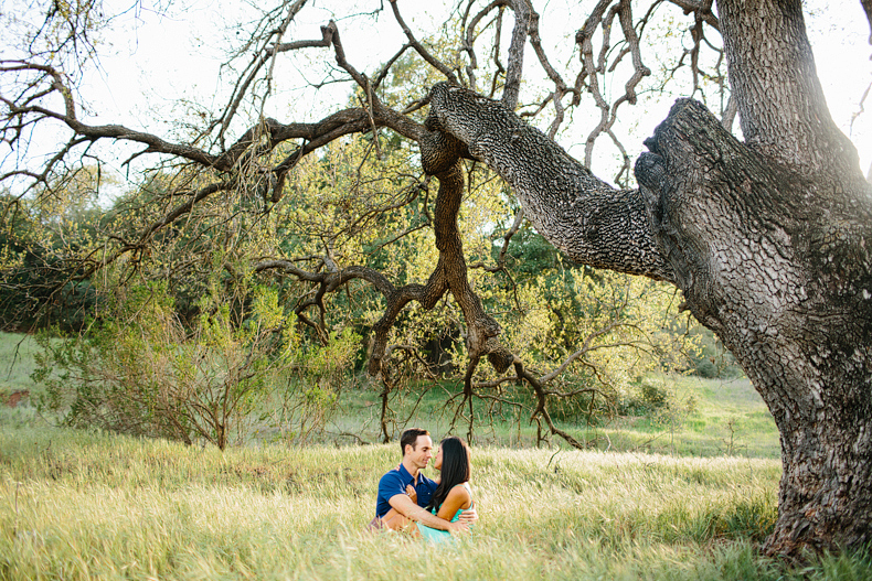 Engagement session with trees