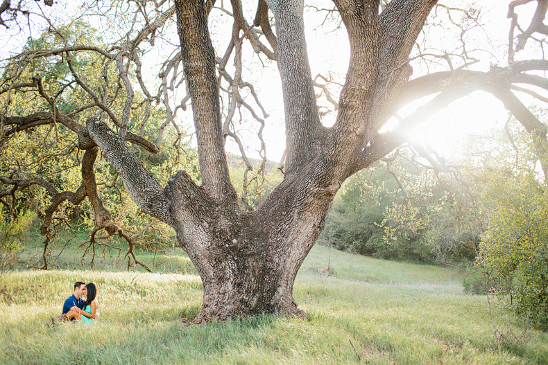 Beautiful field engagement session with a tree