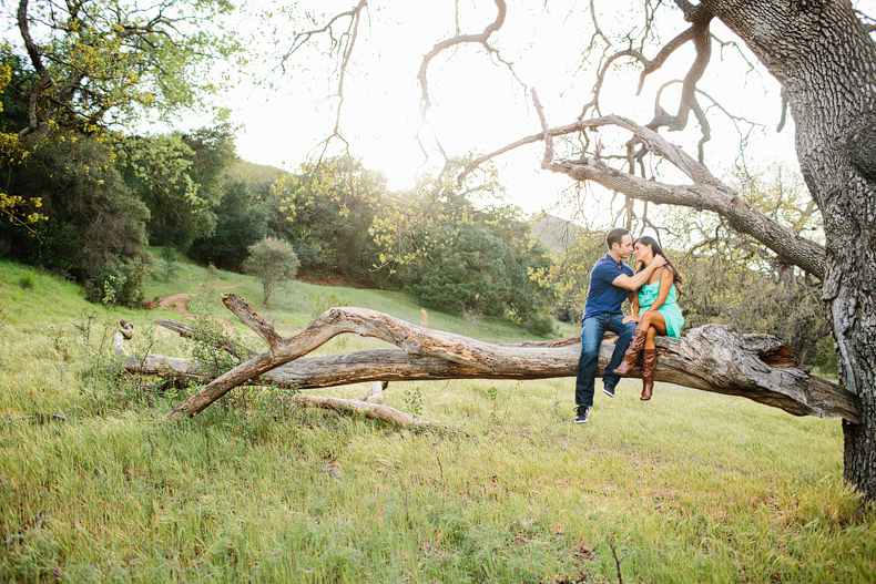 Couple on a tree branch like whoa