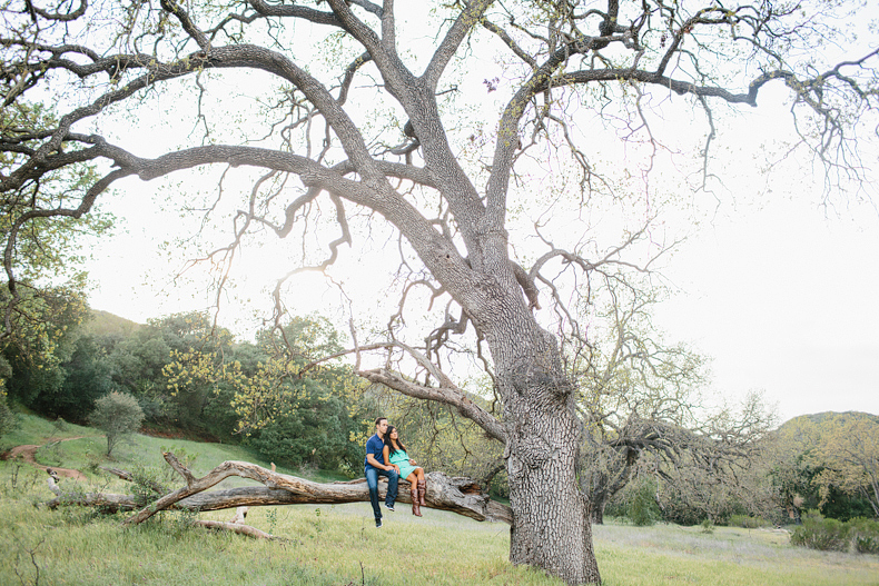 wide shot of couple in a tree