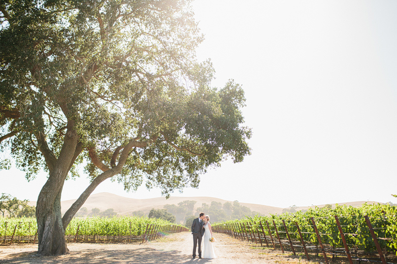This is a beautiful photo of a bride and groom standing under a tree at their Firestone Vineyard wedding.