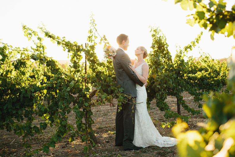 This is a photo out in the vineyards in beautiful glowy light.