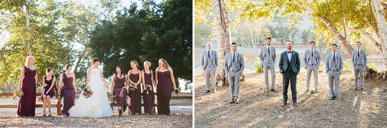 Wedding party looking great in royal purples and grey. 