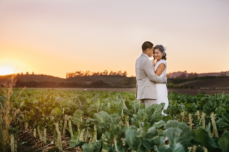 This is a sunset photo in the fields at a Camarillo wedding.