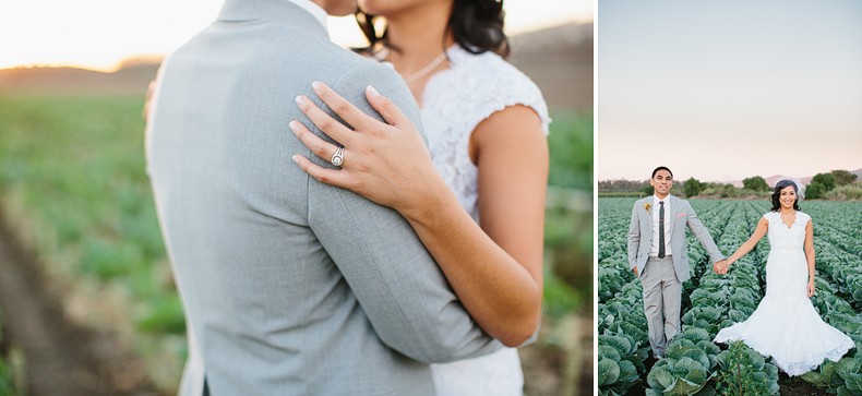 These are field photos.