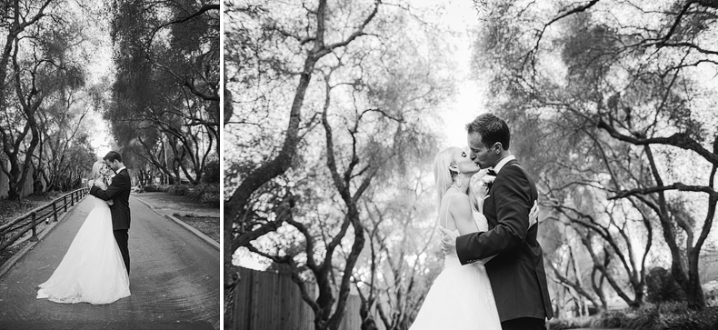 We absolutely loved this corridor of trees. They are so super beautiful.