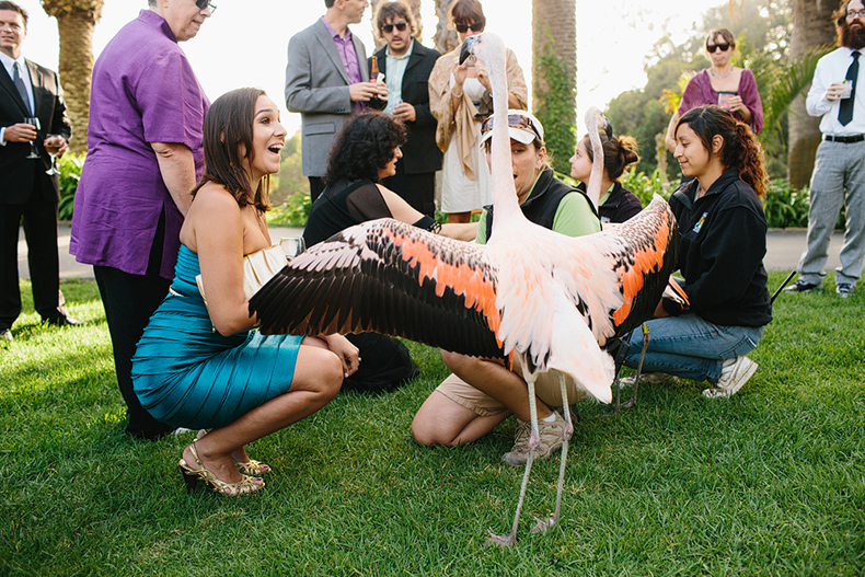 This is our past bride, Tiffany, apparently being yelled at by a flamingo!