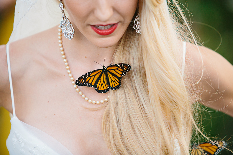 We think it was so cool that the butterflies stuck to the Bride and Groom for so long.