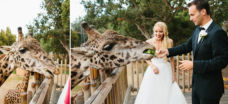 Santa Barbara Zoo wedding photography.