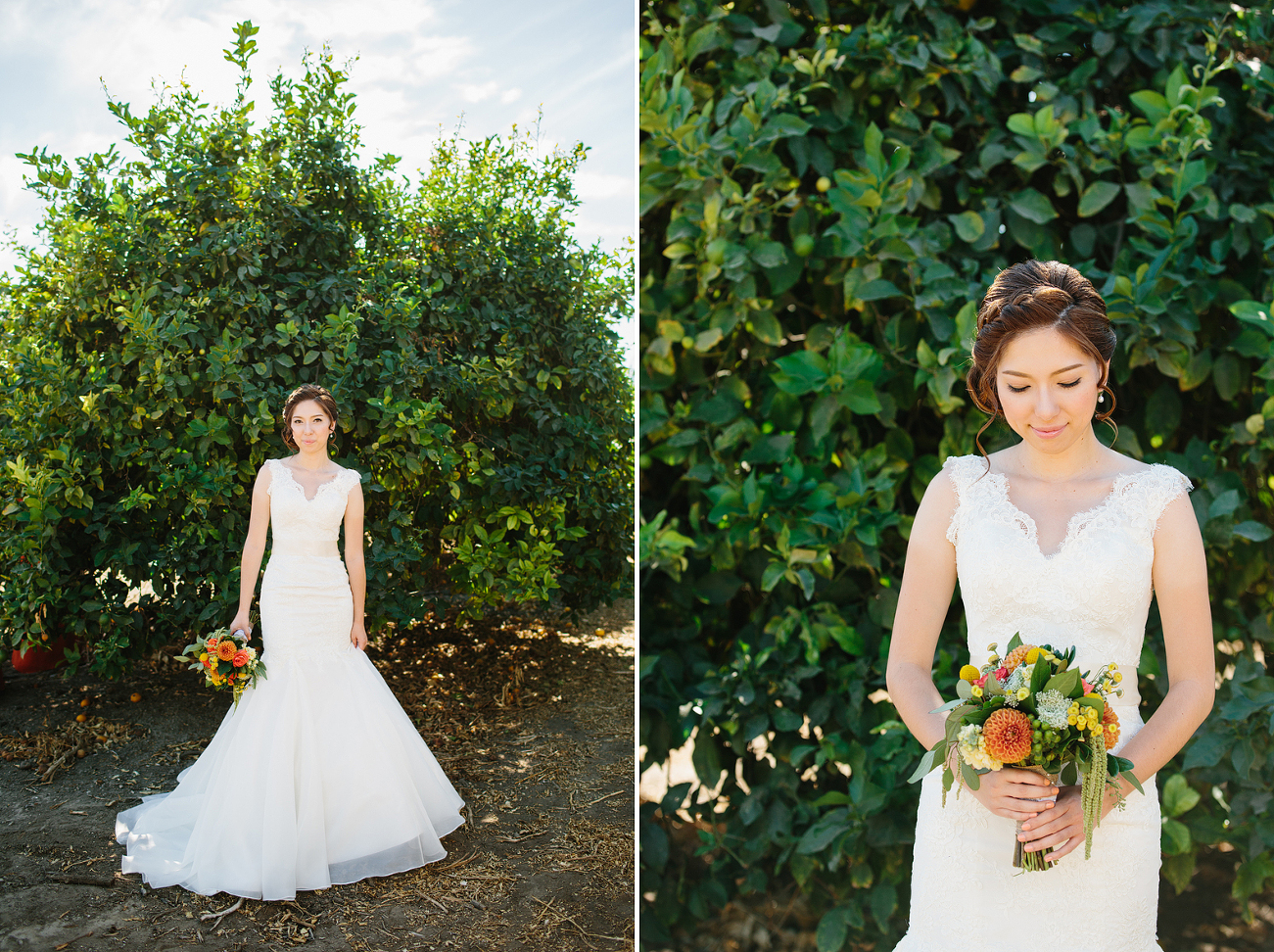 Limoneira Ranch Wedding in Santa Paula California