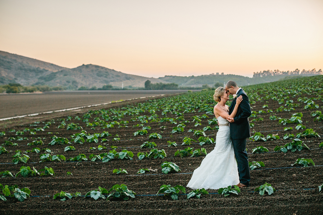This is another photo of Sidney and Steve in the cabbage fields during sunset. 