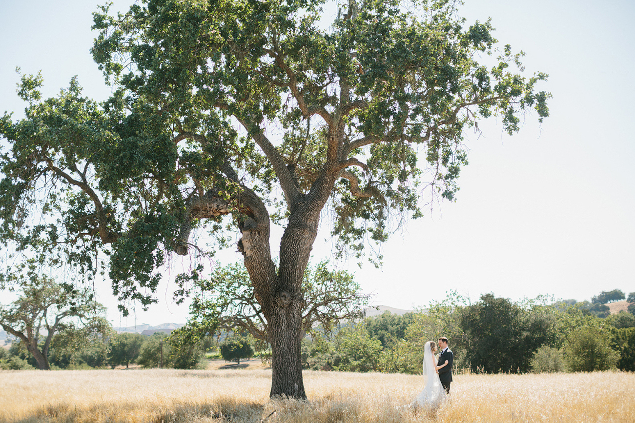 A bride and groom portrait by a large tree. 