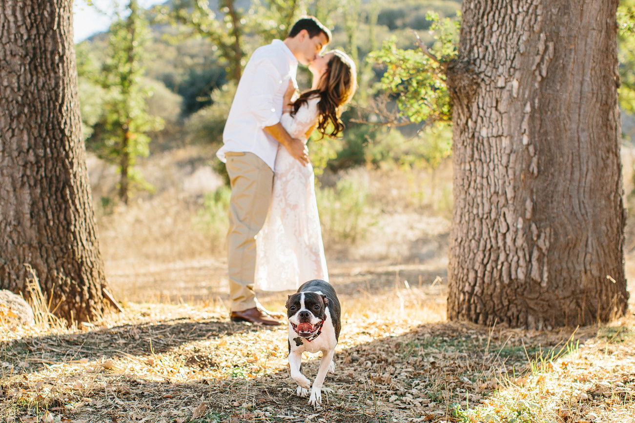 A photo of the dog with the couple kissing in the background. 