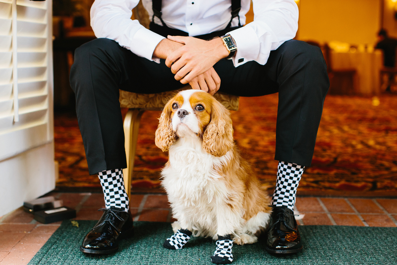 Nick and his dog wore matching socks. 