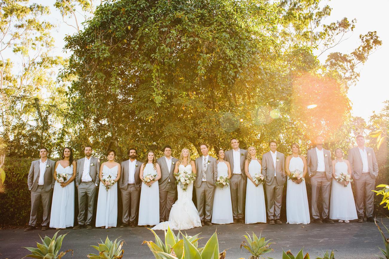 A beautiful shot of the full wedding party. 