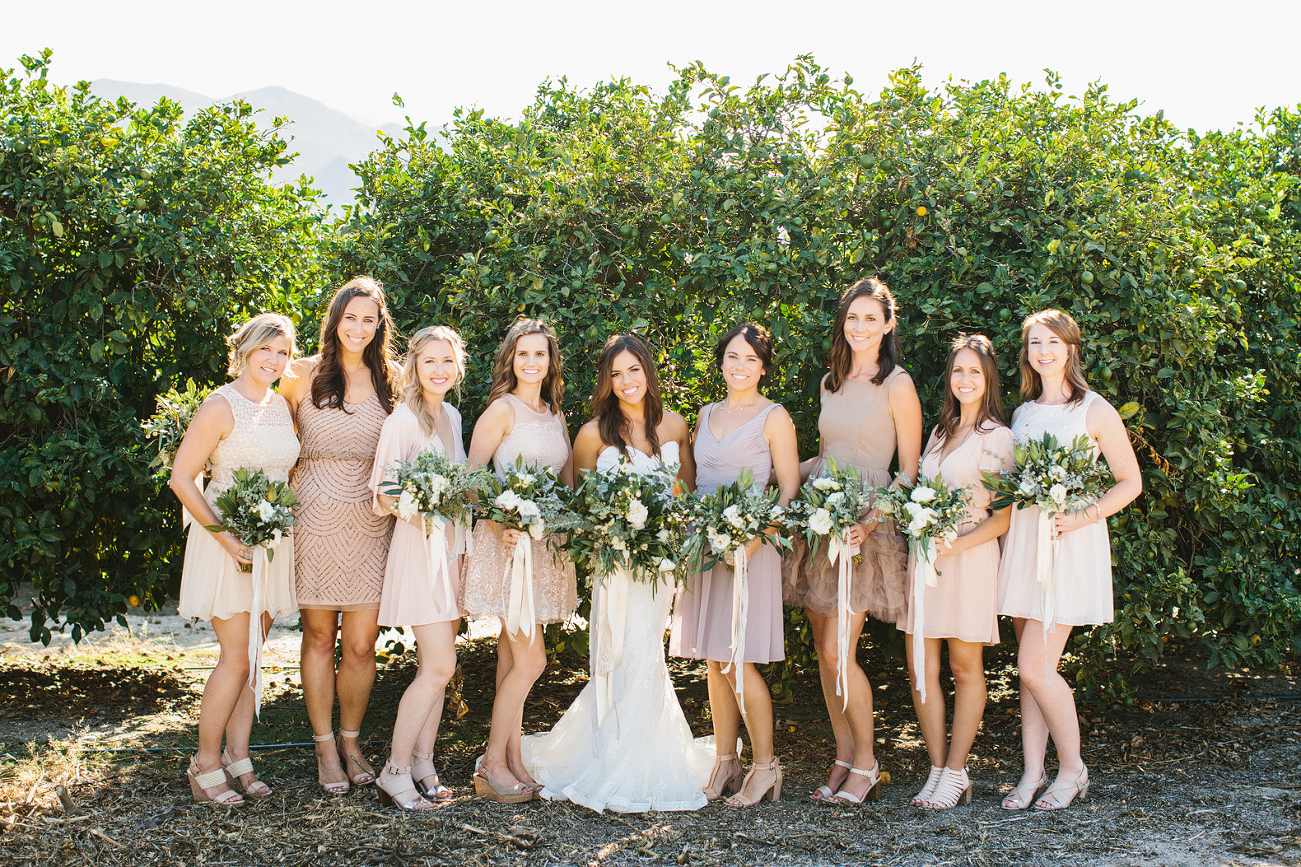 A photo of the bride and bridesmaids. 