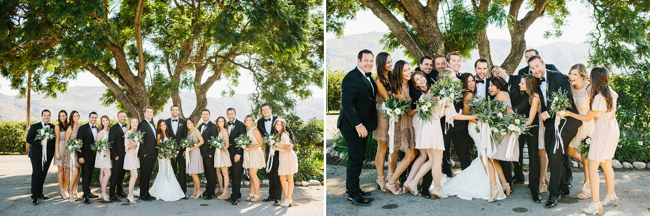 Full wedding party photos in front of a tree. 