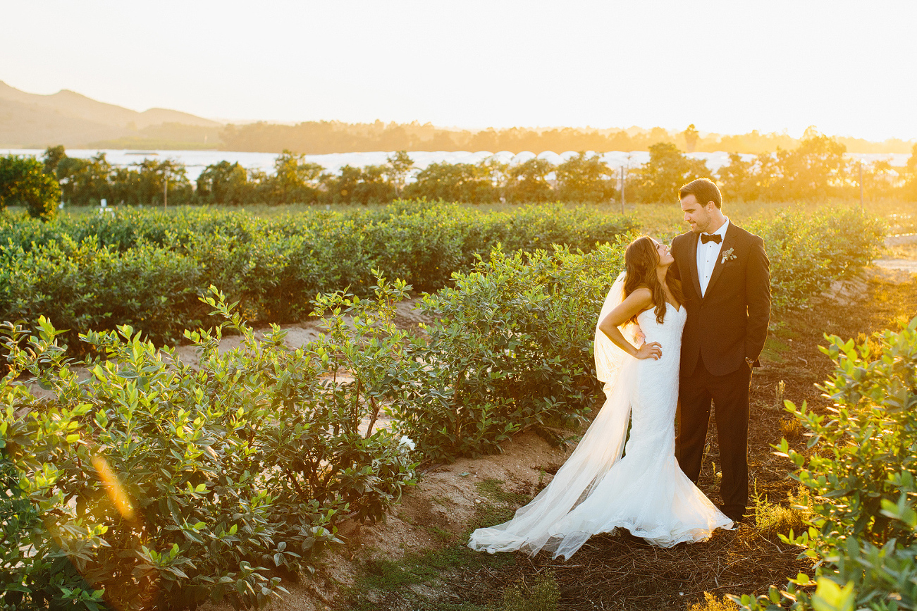 Larissa and Andy at sunset. 