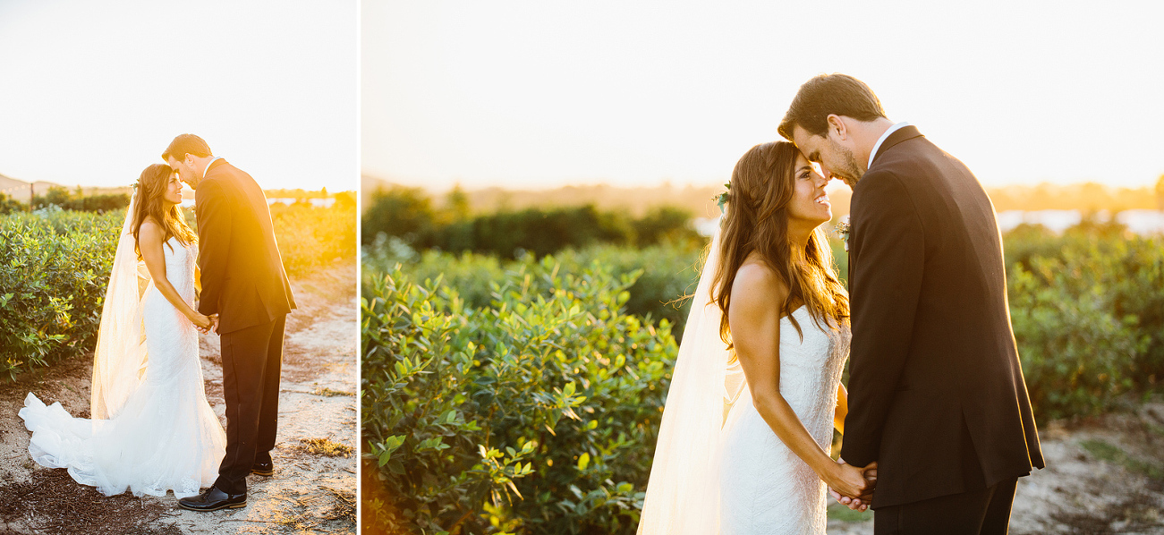 Sweet photos of the couple at sunset. 