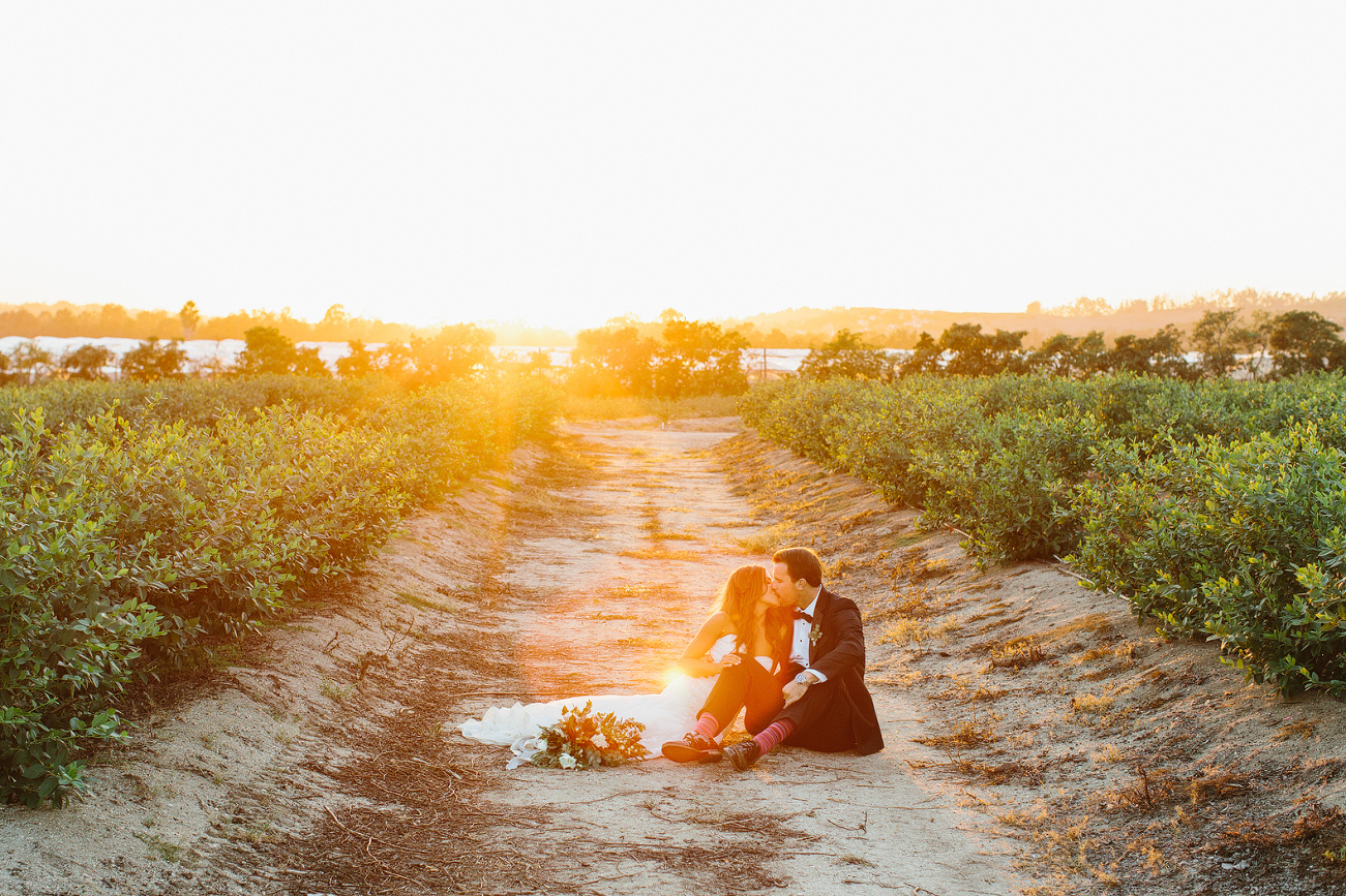 Larissa and Andy sitting in the fields at sunset. 