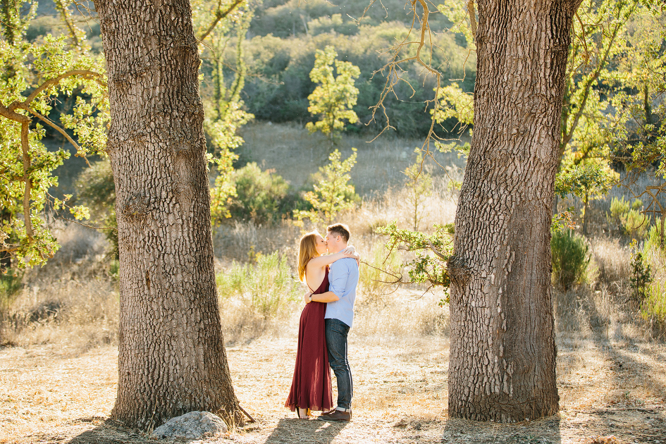 A cute photo of the couple kissing. 