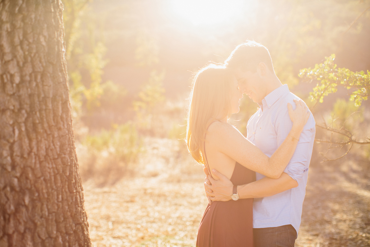 A beautiful sun lit shot. 