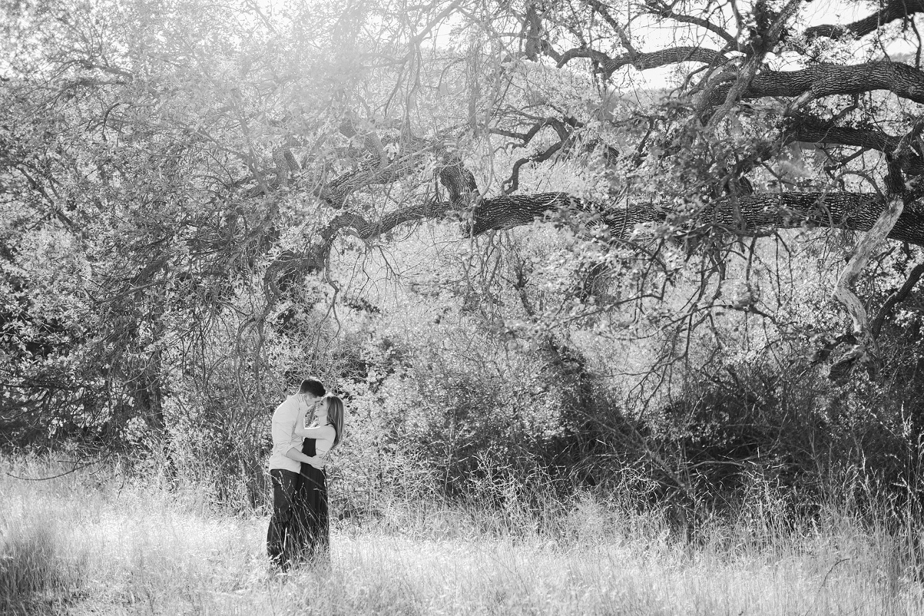 A beautiful black and white photo in the Malibu Hills. 