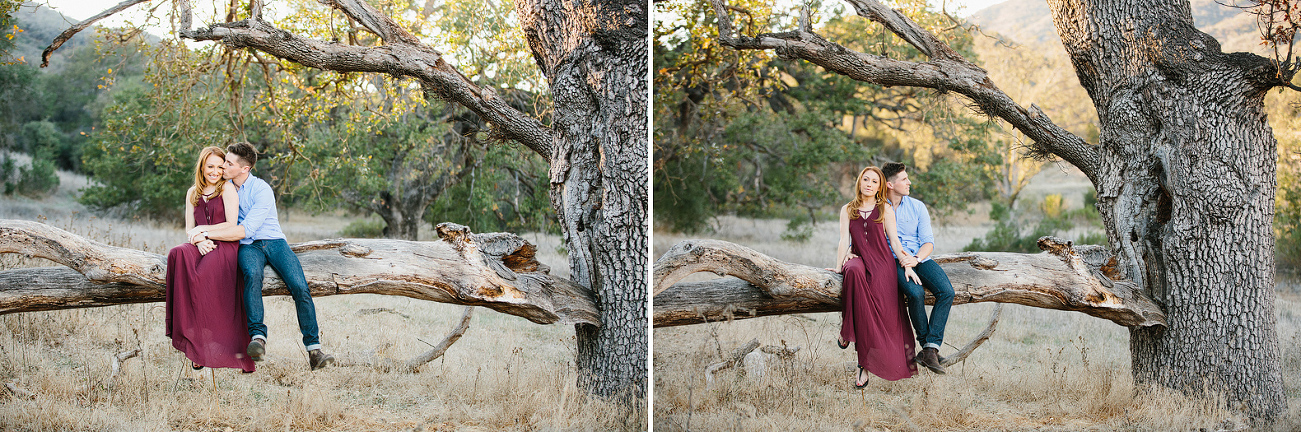 The couple sitting together on a tree. 