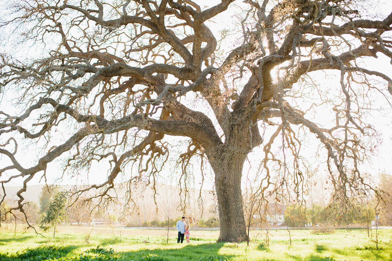 Britt and Steve standing under a large tree. 