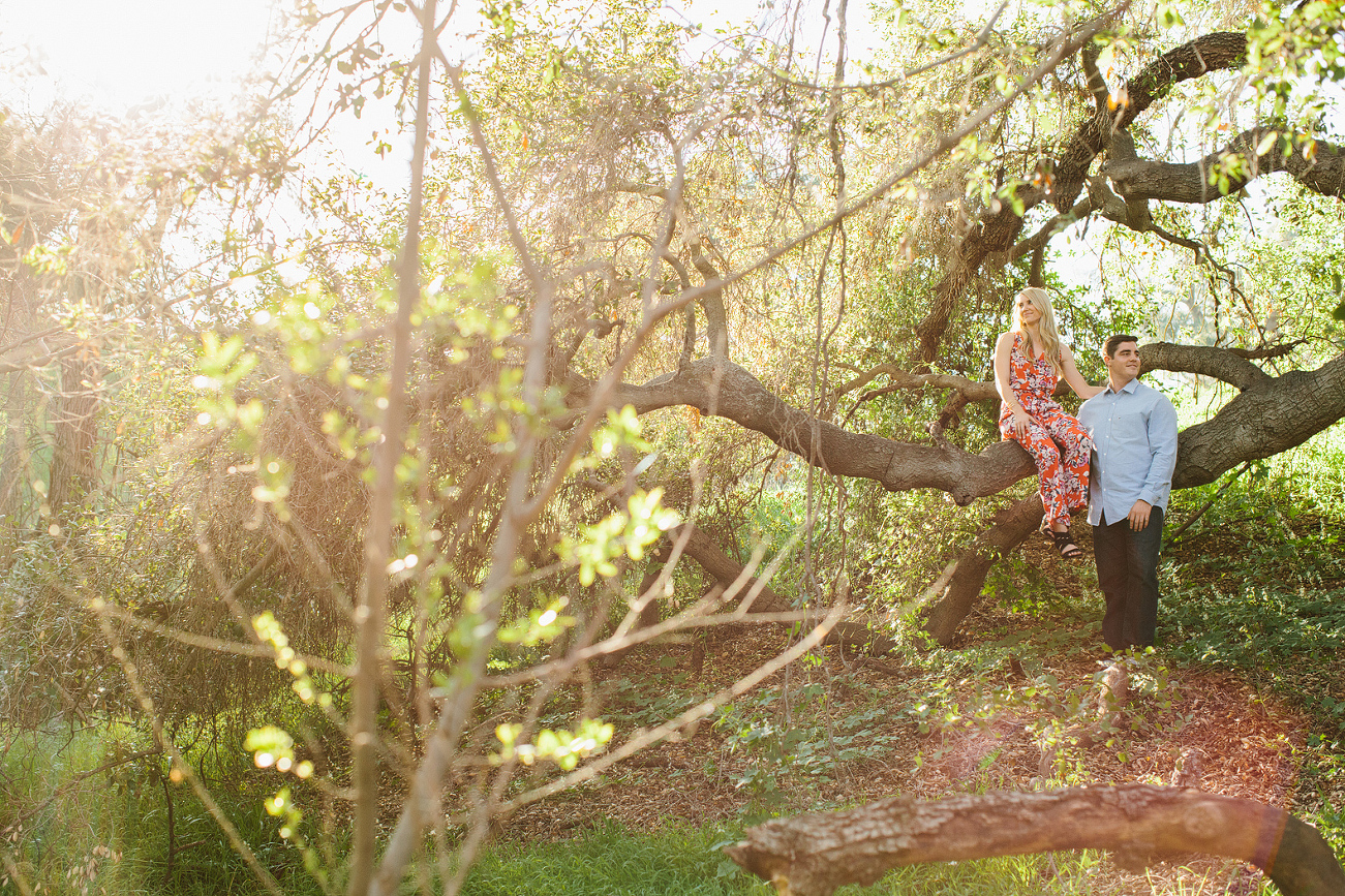 Britt sitting on a tree branch. 