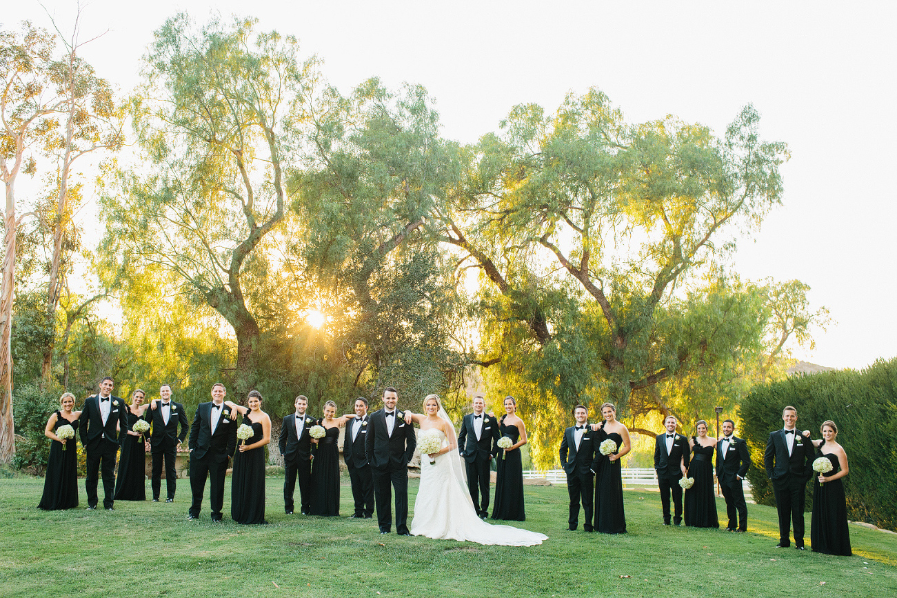 The full wedding party together on the grass. 