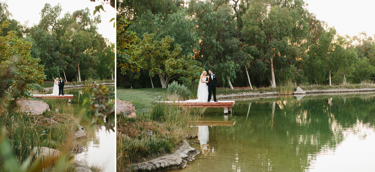 Photos of the couple through the trees. 