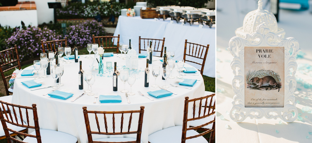 The reception centerpieces and table decor. 