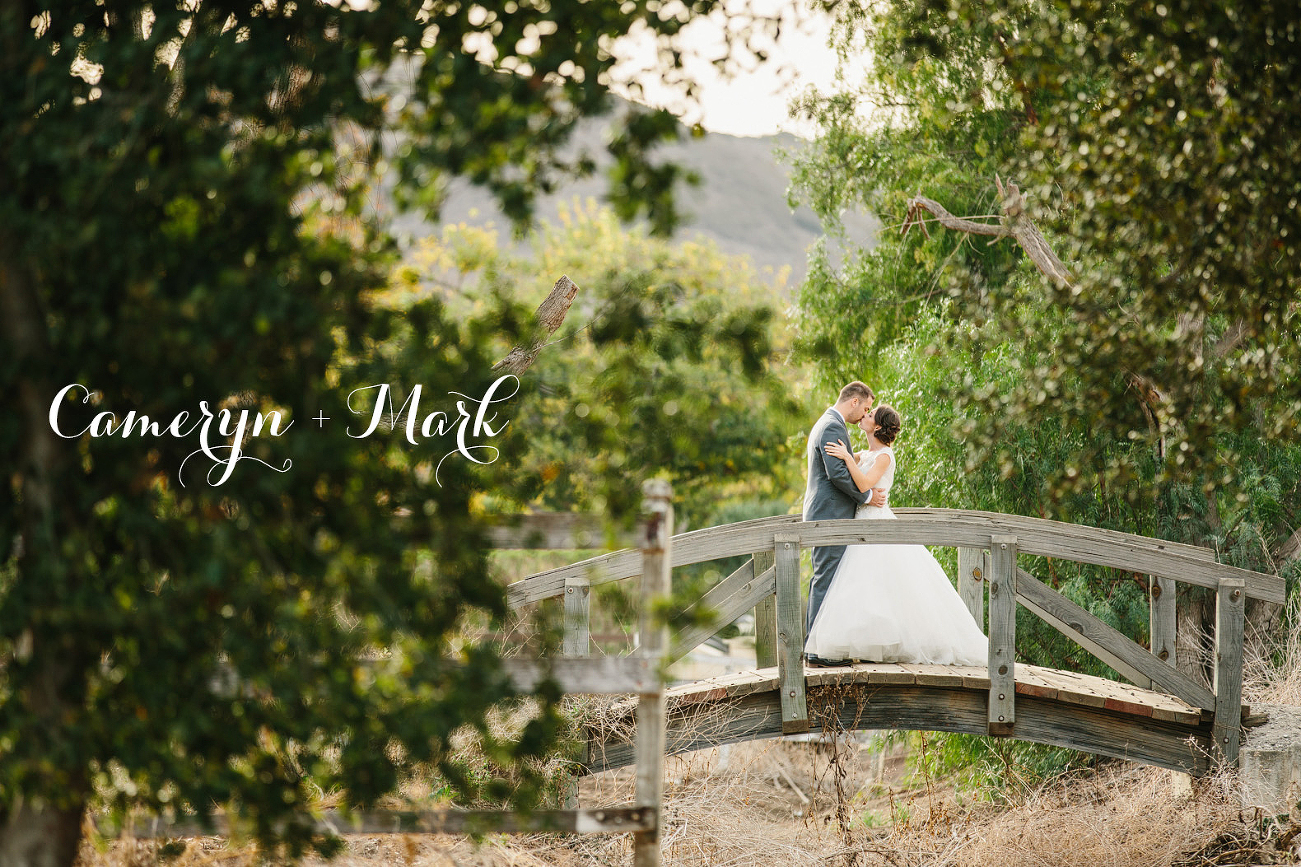 Sweet Camarillo Backyard Wedding: Cameryn + Mark