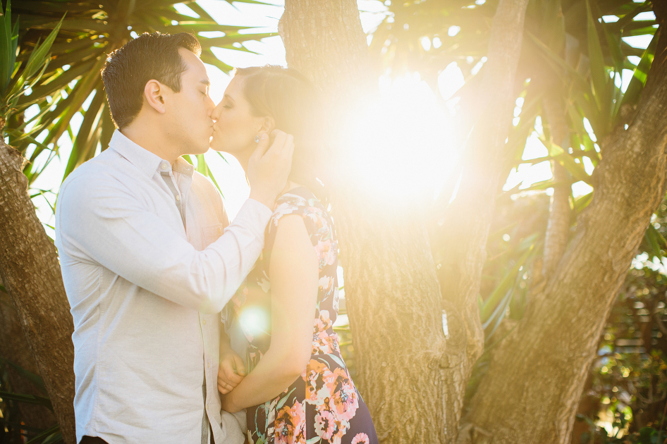 A bright sun filled photo. 