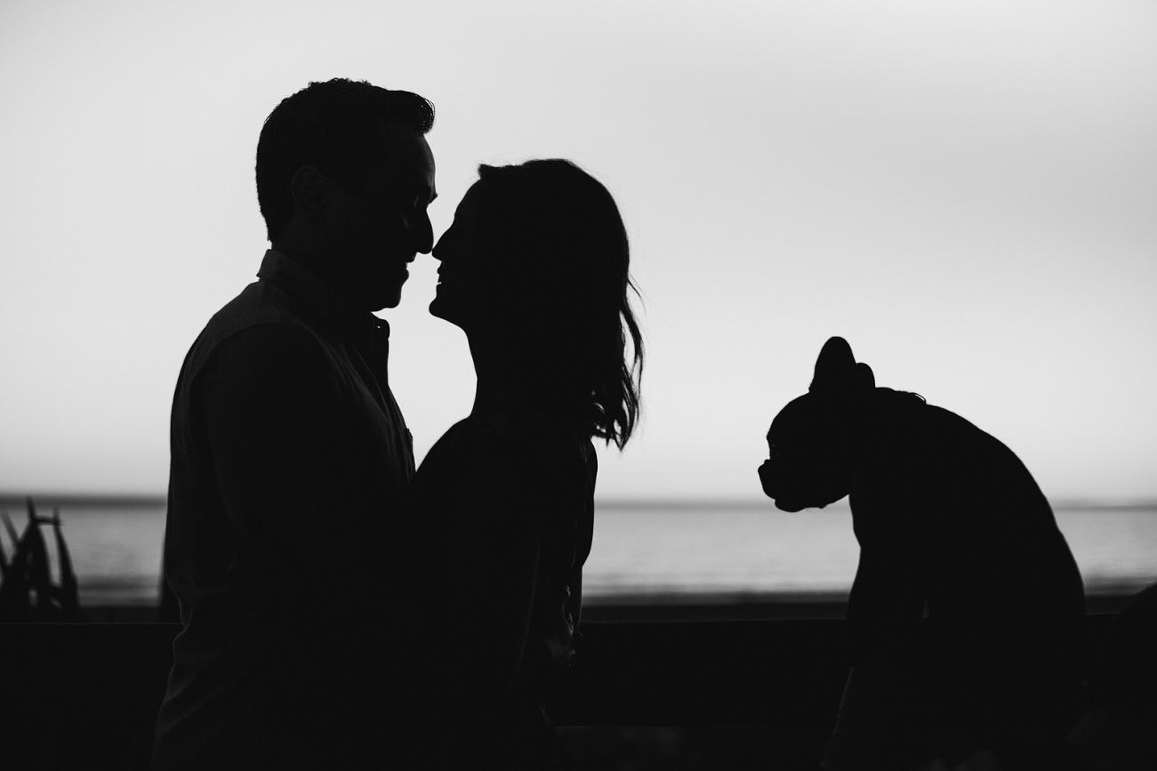 A black and white portrait of the couple with their dog. 