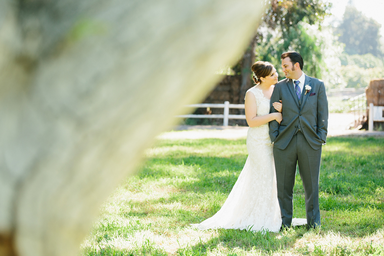 A photo of the couple by a tree. 