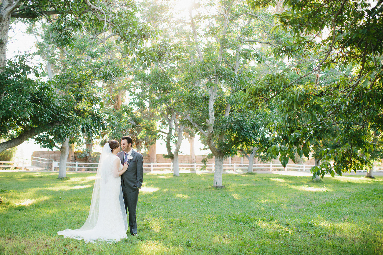 The couple surrounded by trees. 