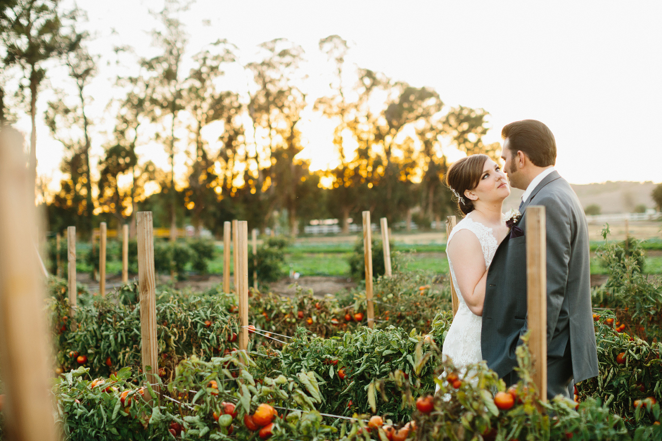 The couple surrounded by tomato vines. 