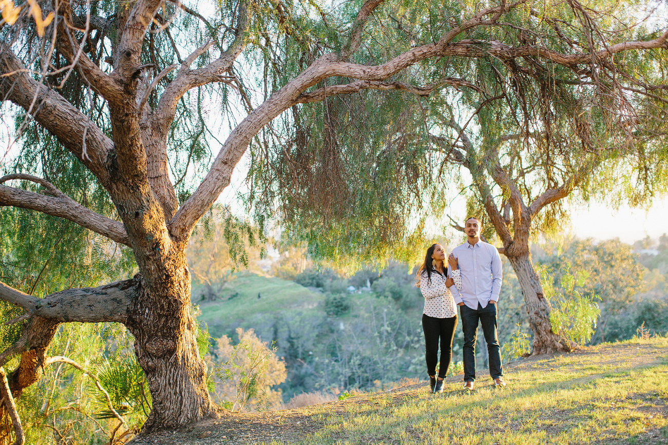 The couple under a large tree. 