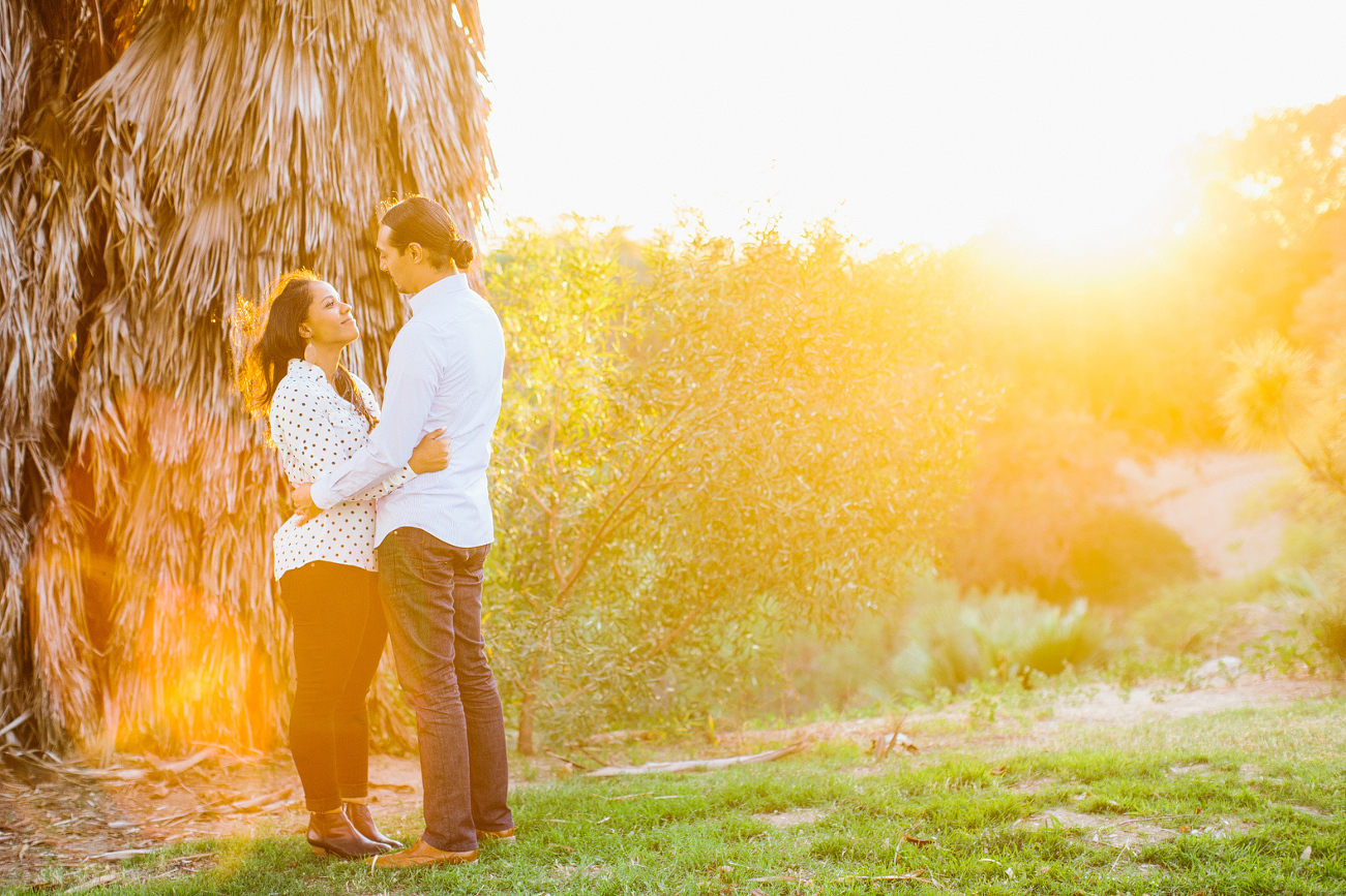 A golden sunset park photo. 