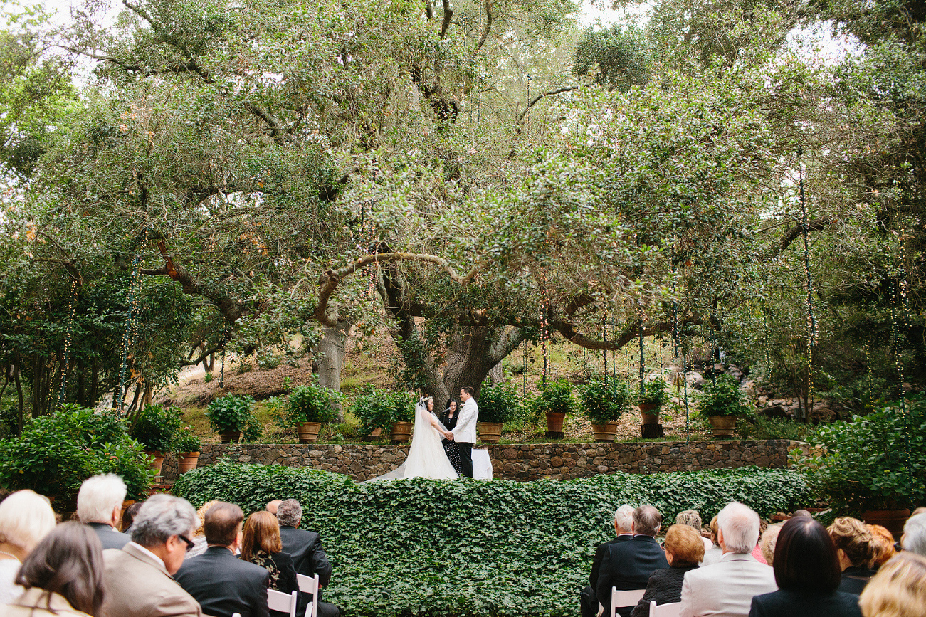 The beautiful green wedding ceremony. 