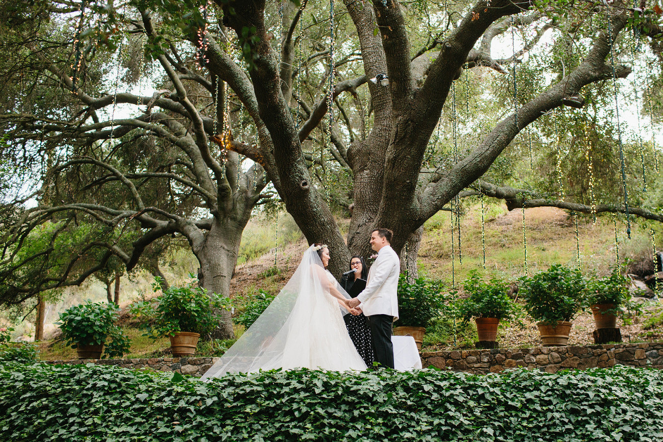 Andrea and Craig under a large tree. 