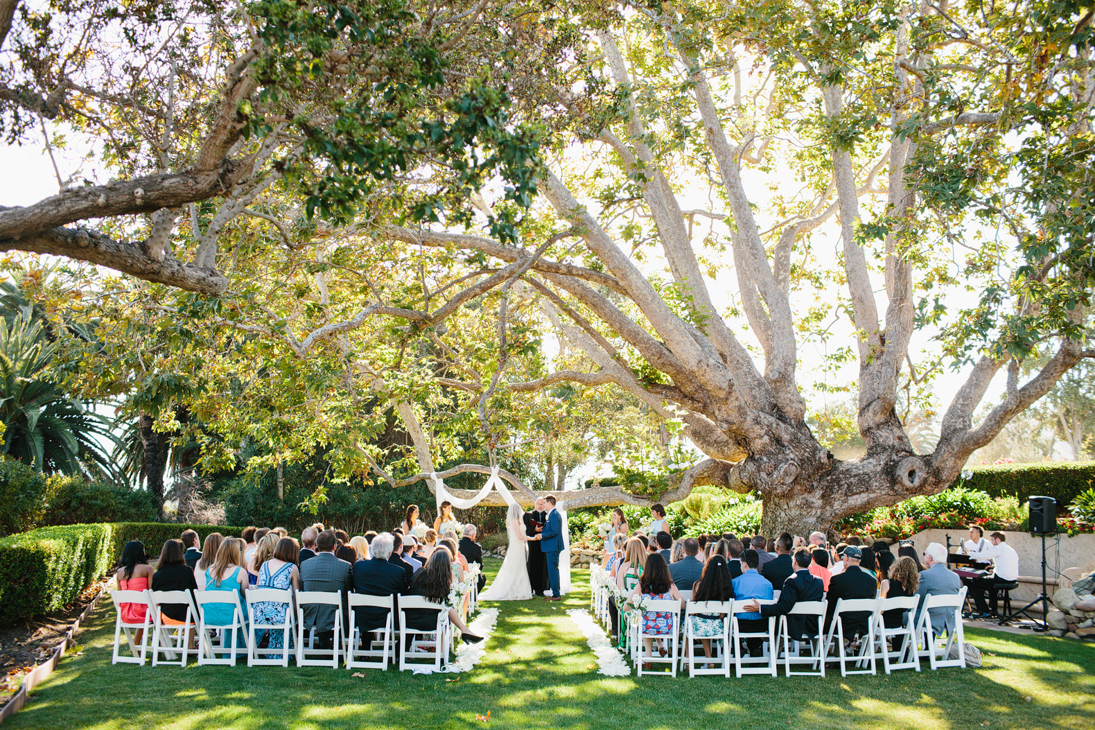 Ally and Brian's beautiful wedding ceremony. 