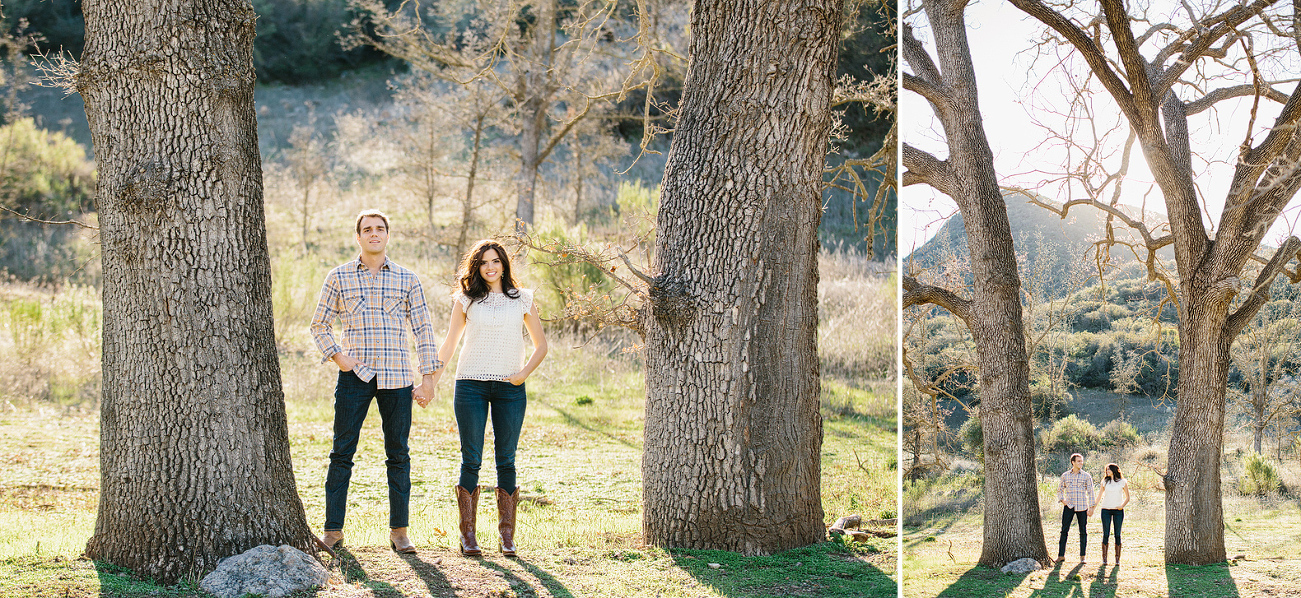 Photos of the engaged couple. 