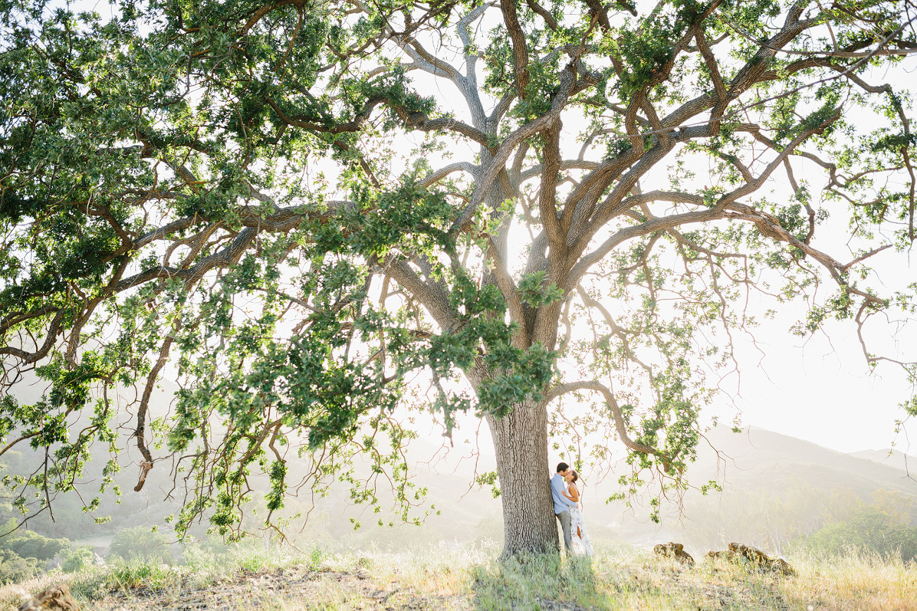 Romantic Calfornia Engagement Photographer