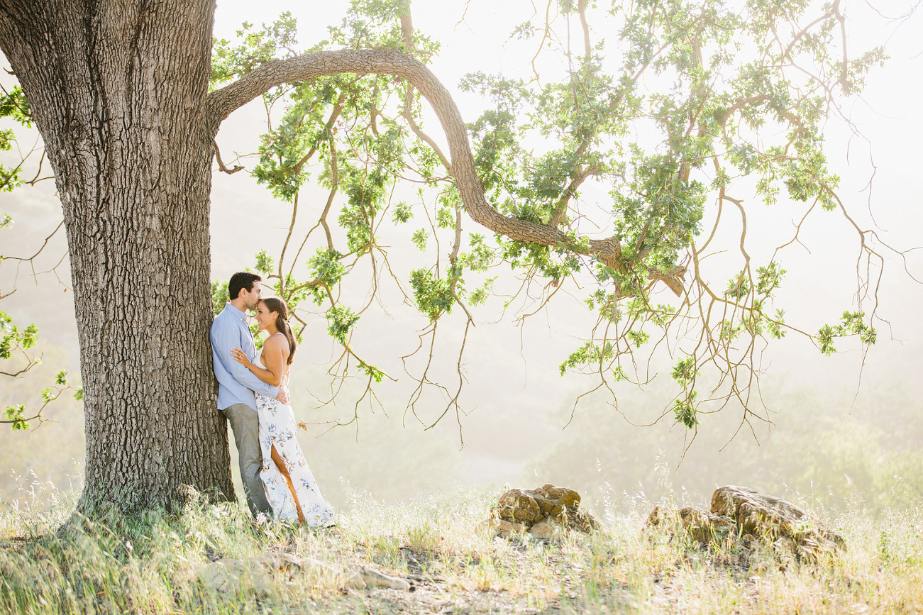 Romantic Calfornia Engagement Photographer